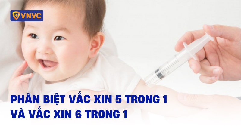 phân biệt vắc xin 5 trong 1 và 6 trong 1