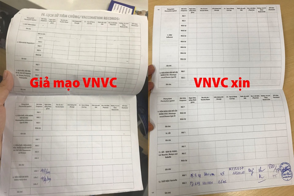 giả mạo thương hiệu vnvc