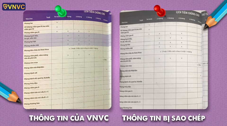 giả mạo thương hiệu vnvc