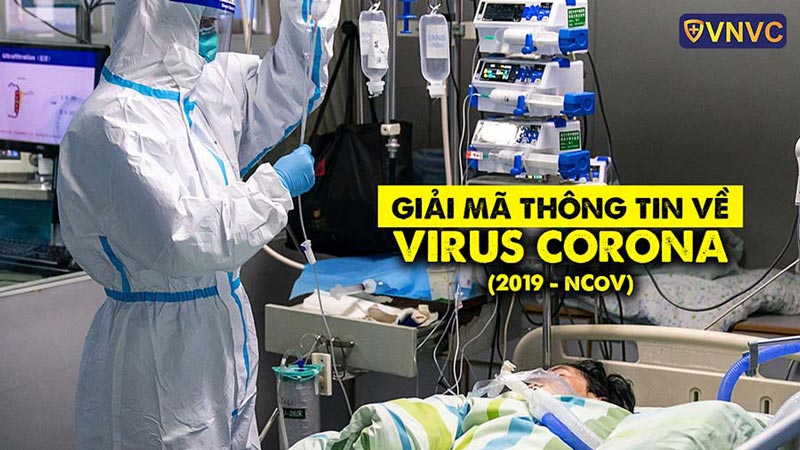giải mã thông tin virus corona
