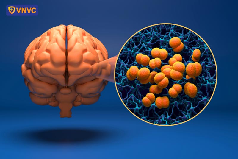 virus não mô cầu