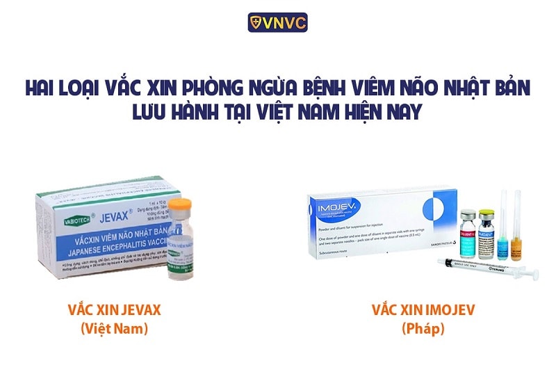 vắc xin phòng bệnh viêm não nhật bản