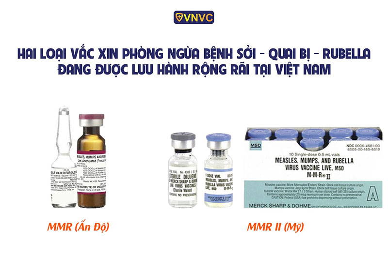 vắc xin mmr ii phòng sởi quai bị rubella
