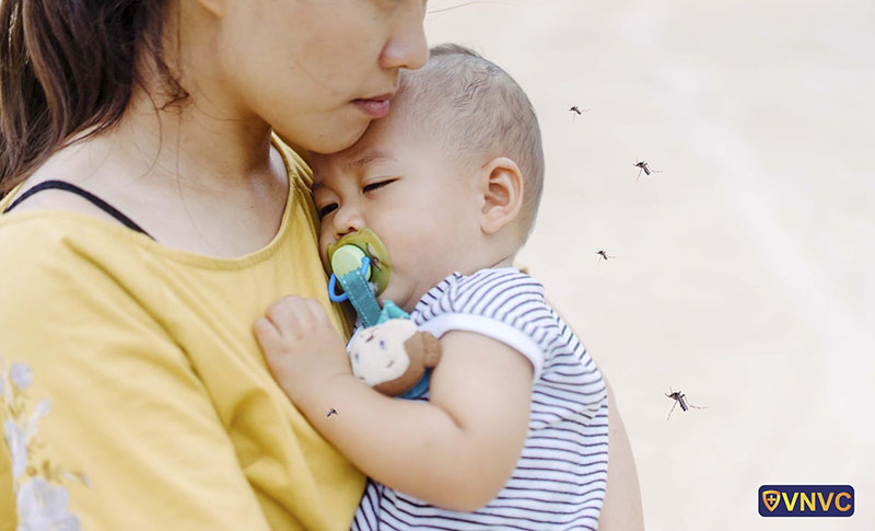 đường lây truyền bệnh viêm não virus