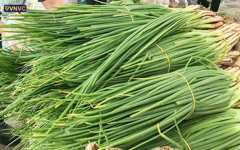 chuong trinh chia se yeu thuong