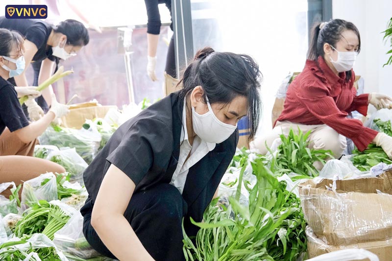 rau cu qua ho tro nhan vien vnvc