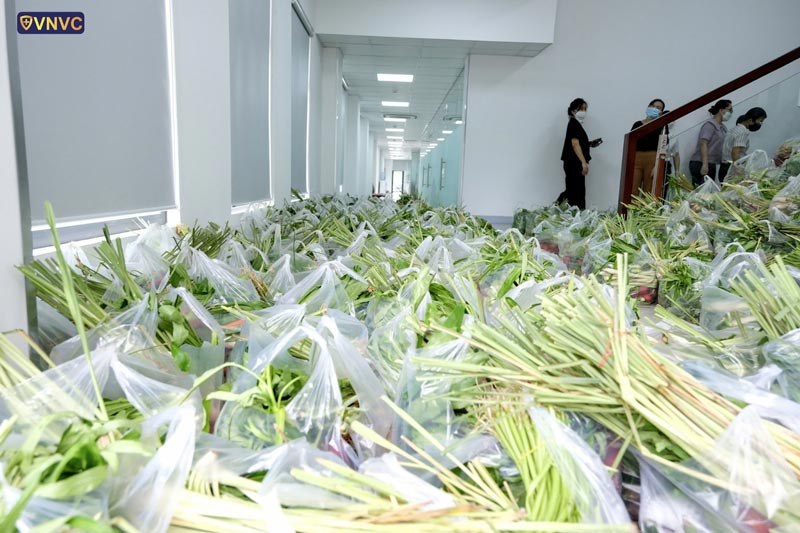 rau cu qua tang nhan vien vnvc mua dich