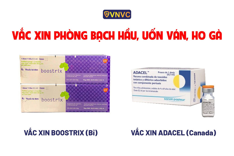 vac xin bach hau ho ga uon van