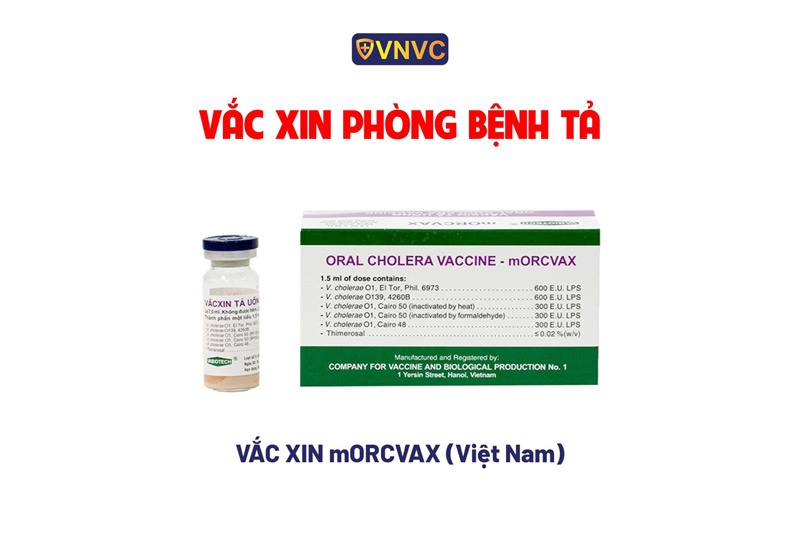 vac xin phong benh ta