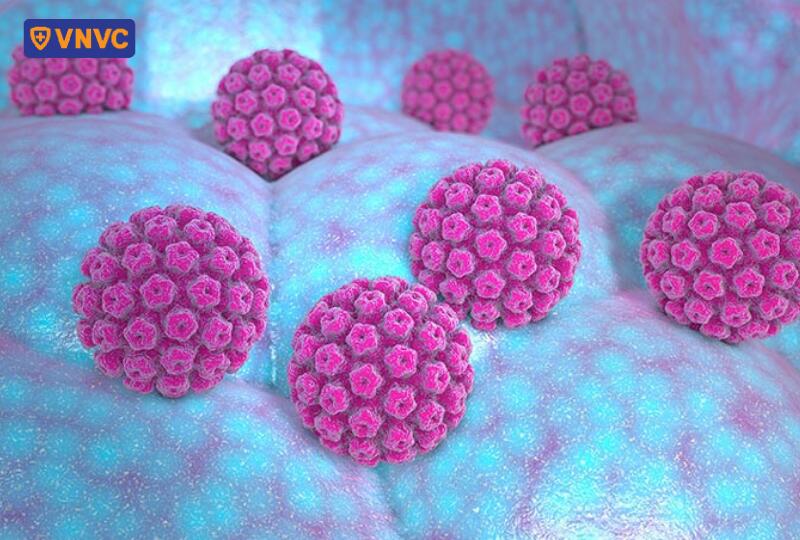 virus hpv