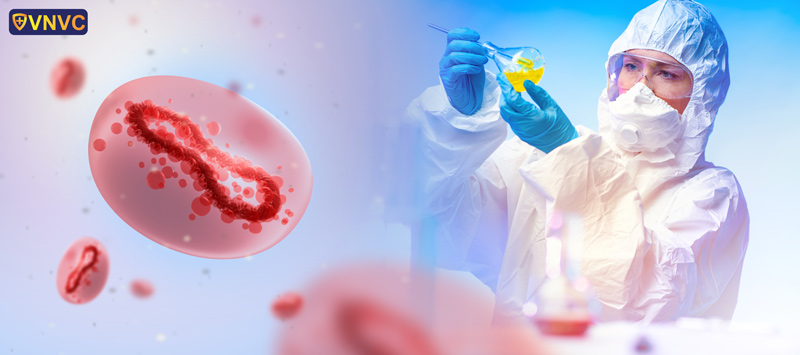 virus đậu mùa khỉ