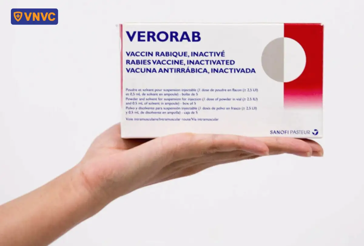 hộp verorab vắc xin