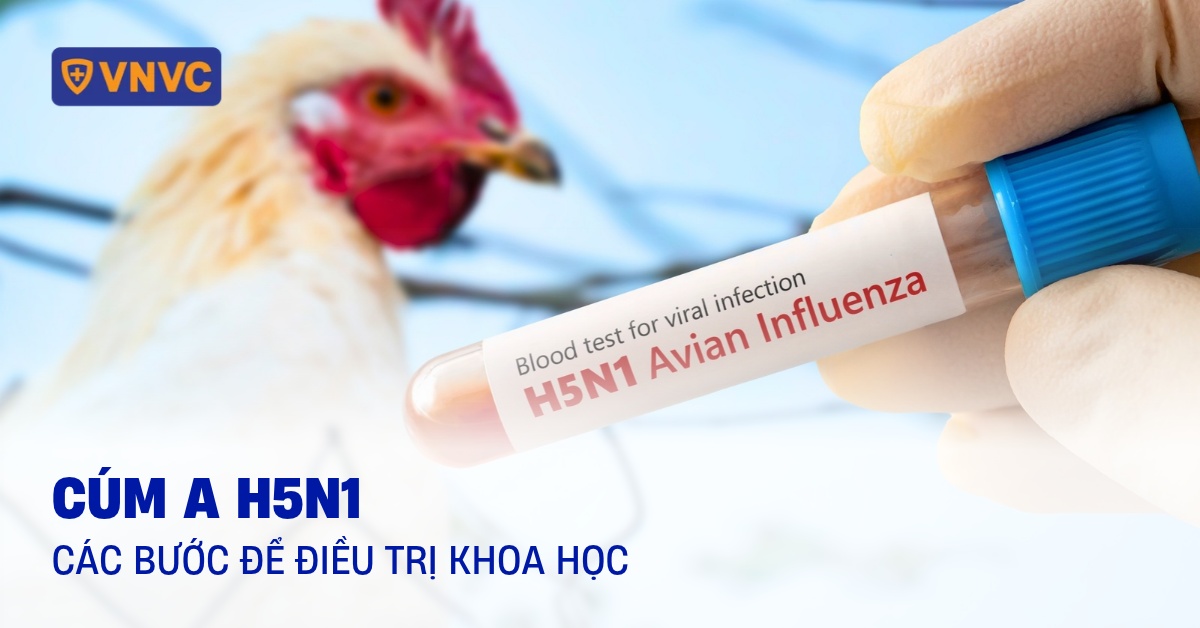 CÚM A H5N1: Nguyên nhân, triệu chứng, điều trị và cách phòng ngừa
