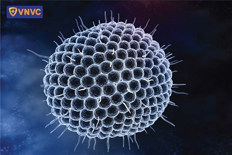 virus VZV gây zona thần kinh