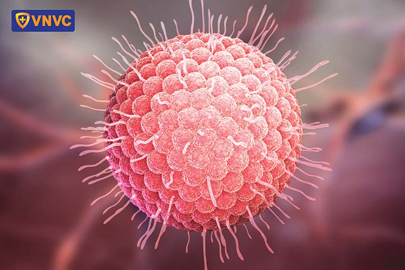 virus Varicella-Zoster lây lan nhanh