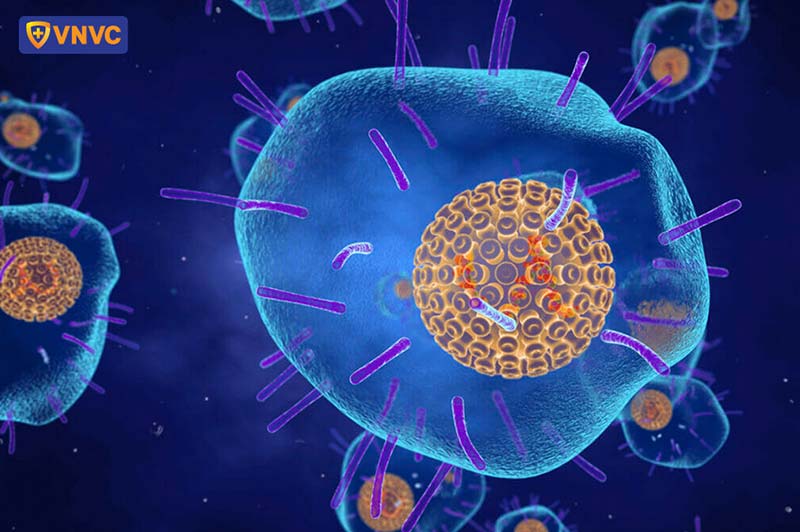 virus Varicella Zoster