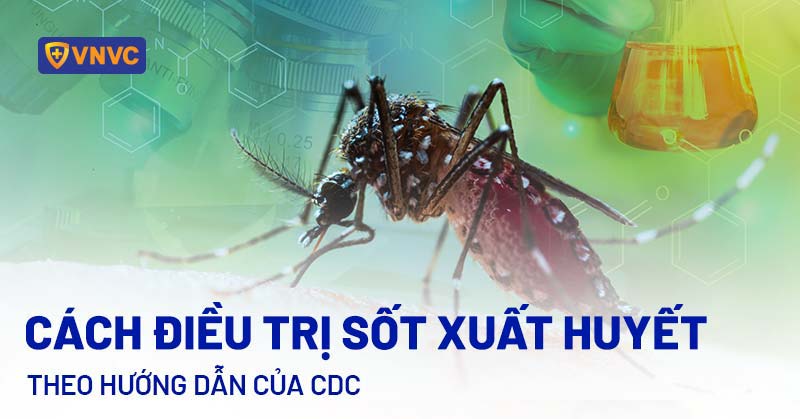 điều trị sốt xuất huyết