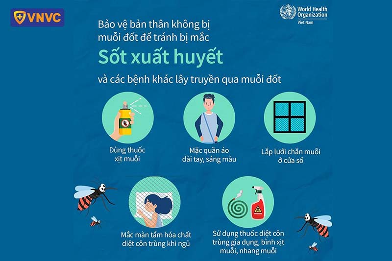 phòng ngừa sốt xuất huyết