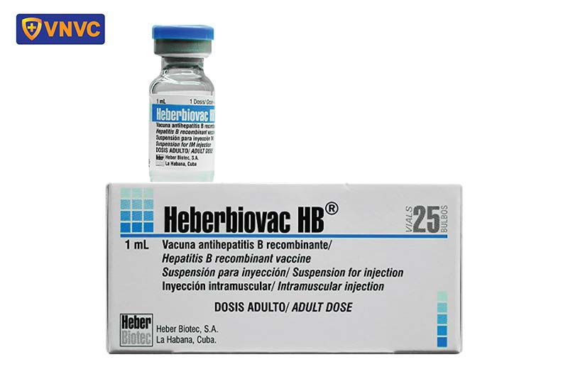 vắc xin Heberbiovac HB