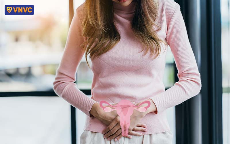 viêm nhiễm cơ quan sinh dục nữ