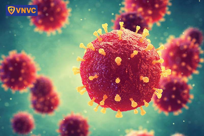 virus varicella zoster