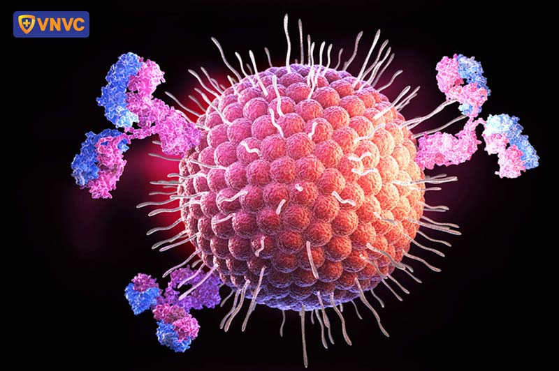 virus gây bệnh giời leo