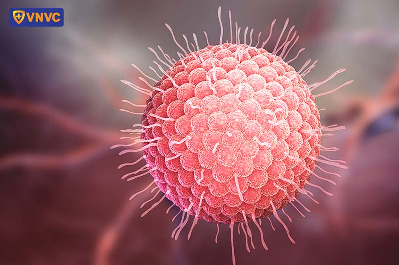 virus gây bệnh thủy đậu