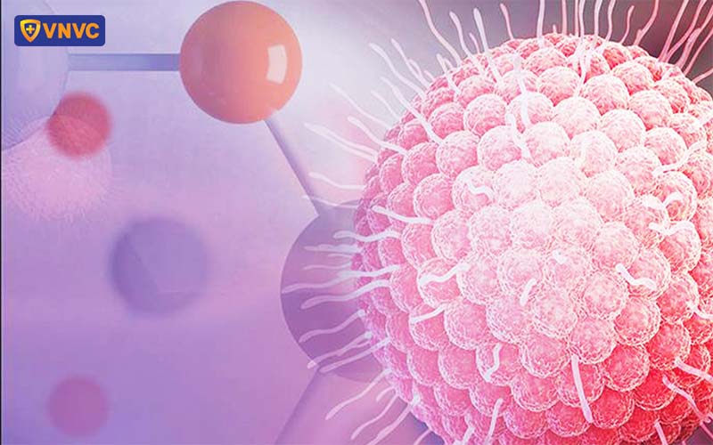 virus gây bệnh zona ở tai