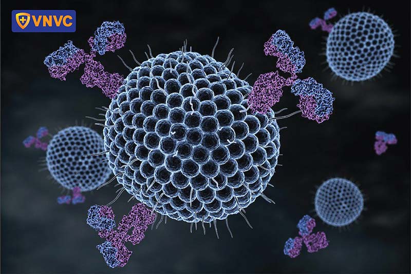 Virus Varicella zoster gây zona thần kinh ở cổ
