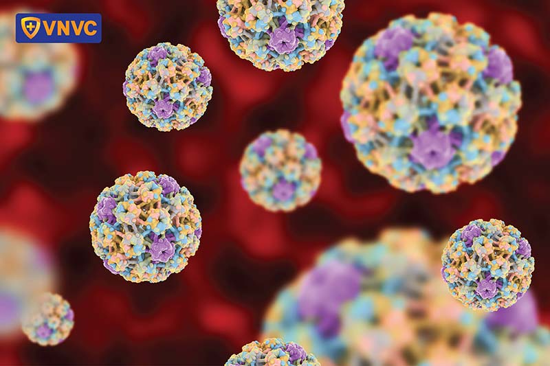 virus hpv gây sùi mào gà hậu môn
