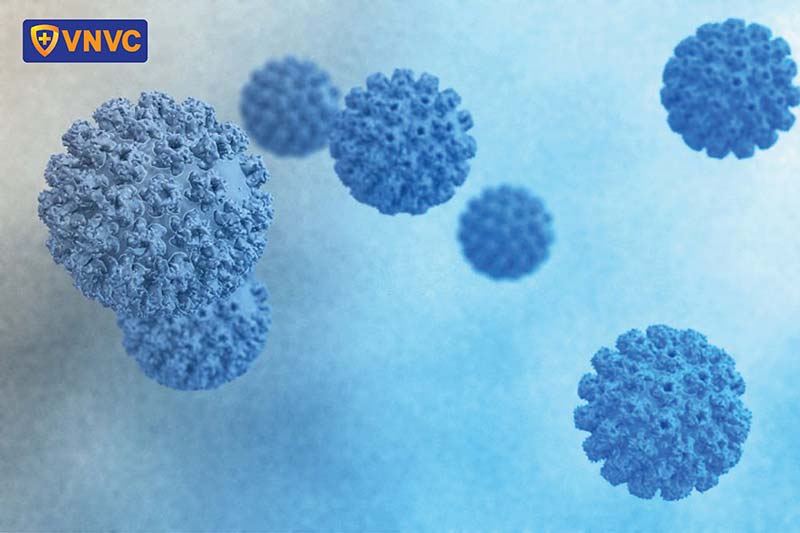 virus hpv gây sùi mào gà ở mắt