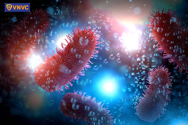 virus gây bệnh dại