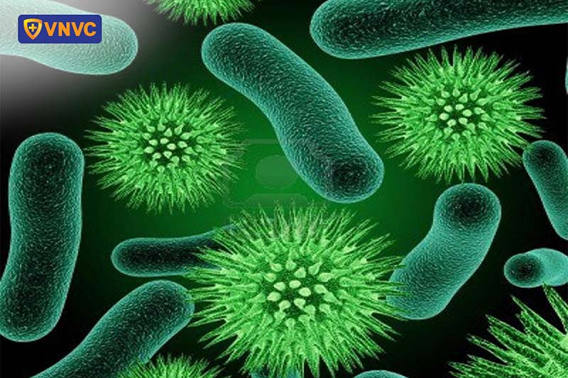 virus gây ho gà ở trẻ sơ sinh