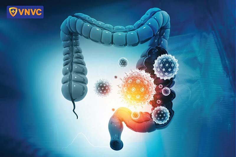 virus tấn công làm nhiễm trùng hệ tiêu hóa