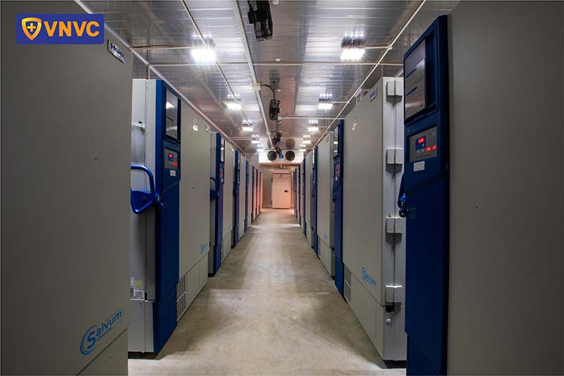 hệ thống kho âm sâu