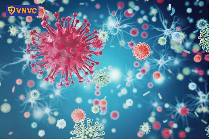 vi khuẩn virus