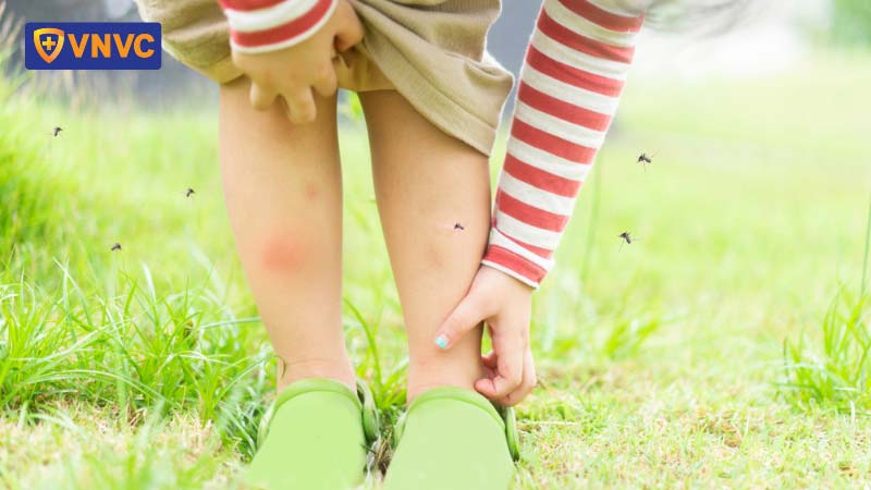 Nhấn vào ảnh để phóng to bệnh sốt xuất huyết ở trẻ em