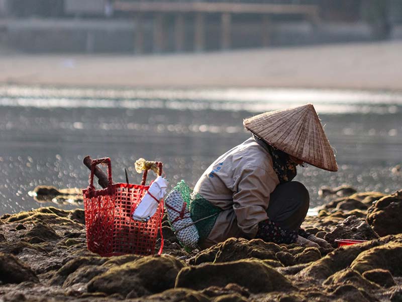 hình ảnh mẹ