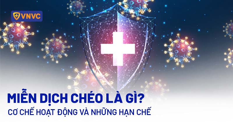 miễn dịch chéo là gì