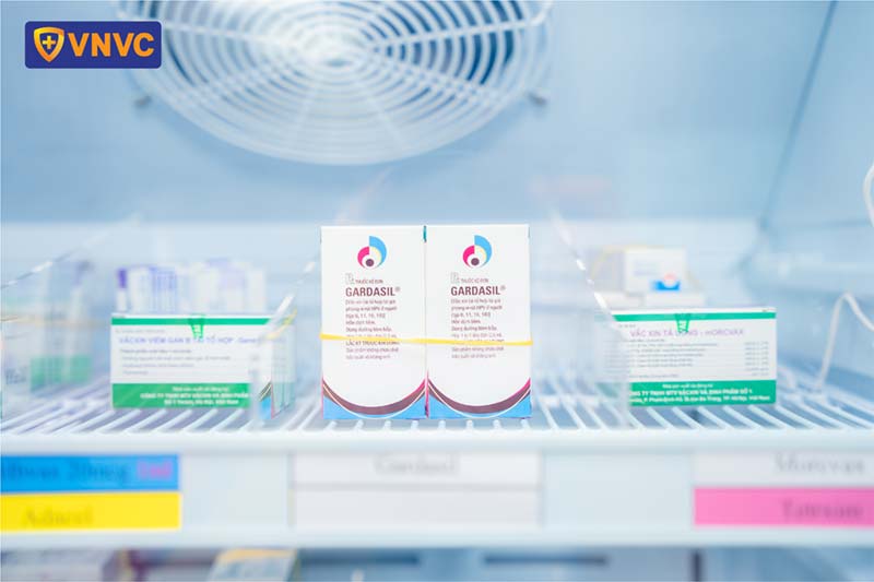 Vắc xin được bảo quản trong tủ lanh chuyên dụng đạt chuẩn cao cấp