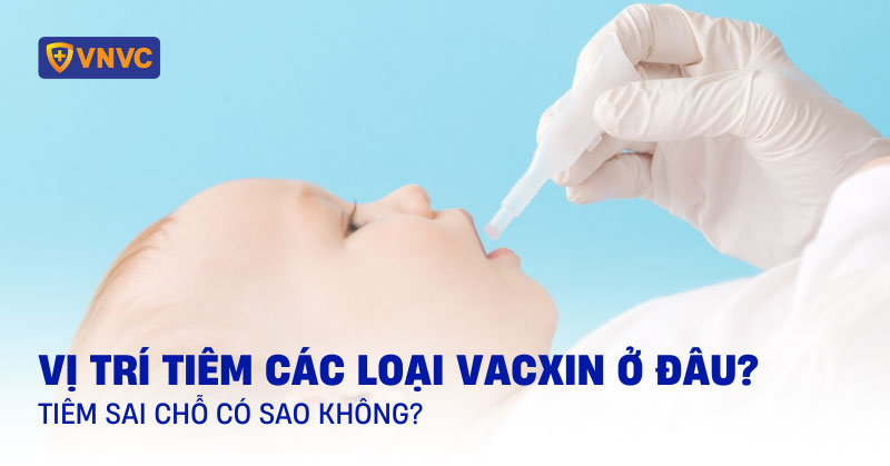 vị trí tiêm các loại vacxin