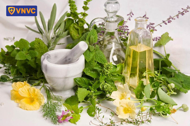 thành phần dầu gội cho người sốt xuất huyết