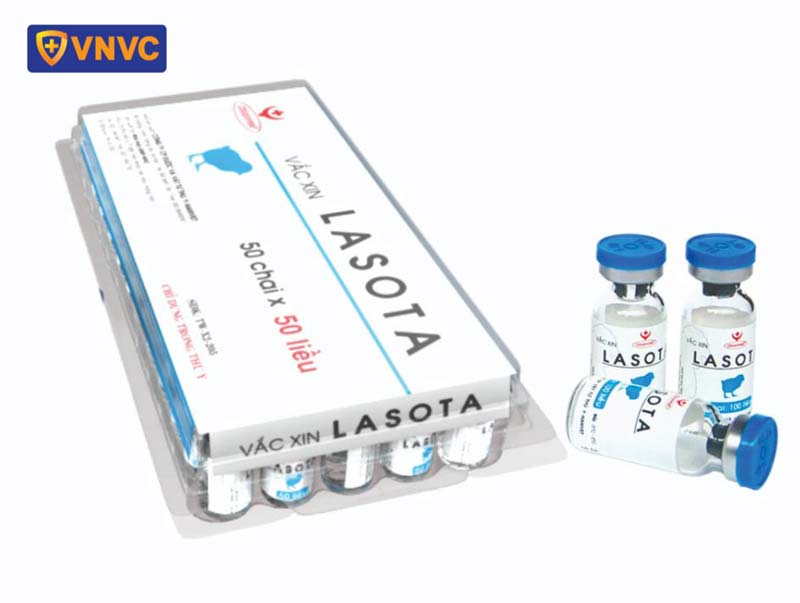 vắc xin newcastle lasota