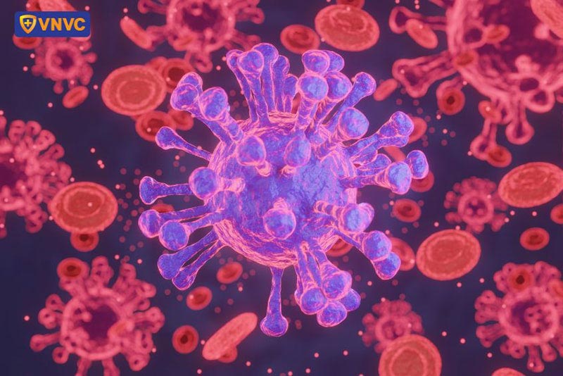 virus HPV có thể nhiễm ở nam trung niên