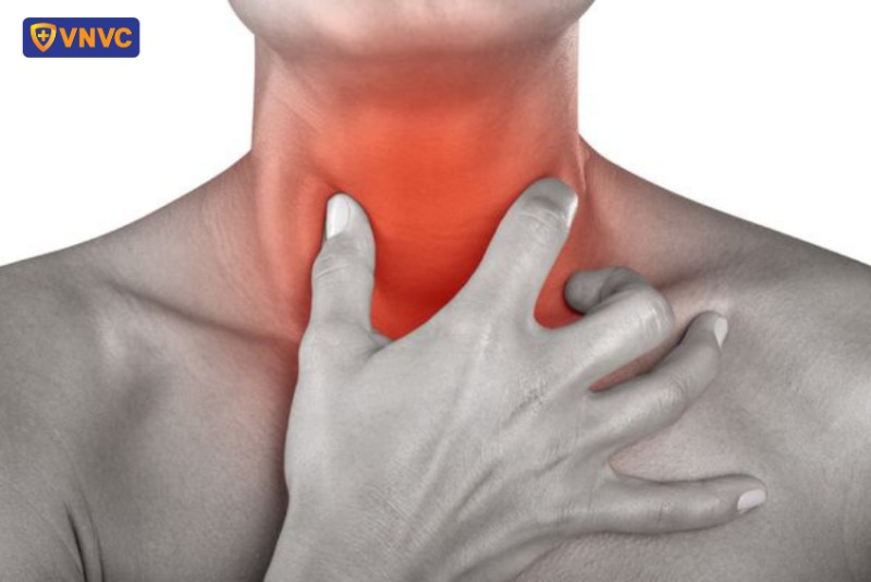 Bệnh viêm họng là tình trạng viêm nhiễm niêm mạc họng
