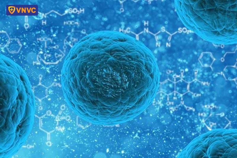 nguyên nhân gây bệnh sởi ở trẻ em