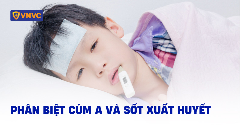 phân biệt cúm a và sốt xuất huyết
