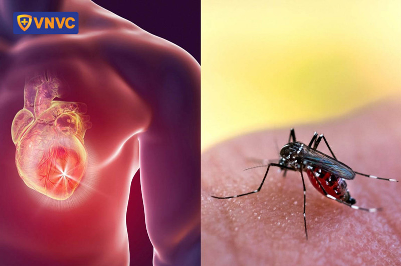 sốt xuất huyết giai đoạn xuất huyết