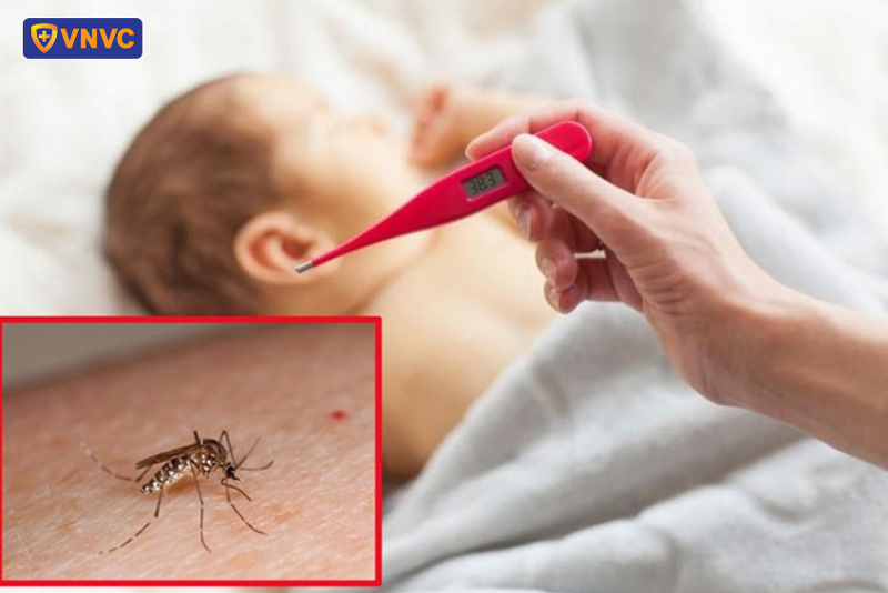 sốt xuất huyết mấy ngày hết sốt