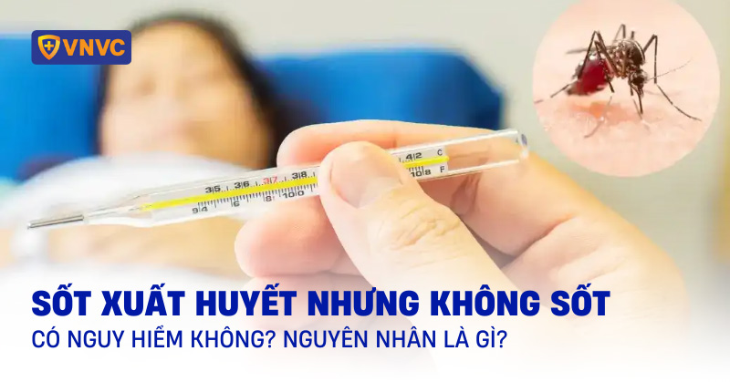 sốt xuất huyết nhưng không sốt
